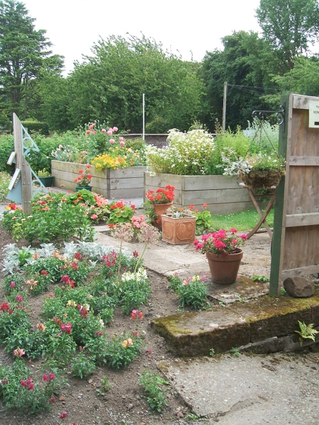 Burton Manor Walled Garden